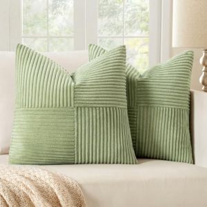 MIULEE Lot de 2 Housse Coussin en Velours Côtelé 60x60cm Vert Decoratif Canapé Moderne Doux Déco (MIULEE HOME, neuf)