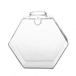 Hztyyier Vase en Verre Suspendu Mur Transparent 6 Décoration Murale de Jardin pour Mur Arrière-Cour pour Terrariums Suspendus Collants (hexagone) Potting Tools Potting Tools (Yokuna eu, neuf)