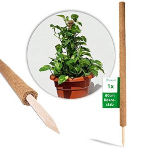Novatool Barre de plantation en coco 80 cm I Ø 45 mm I Extensible I Fibre de coco naturelle I Support pour plantes I Bâton de mousse en coco (AMP GmbH, neuf)