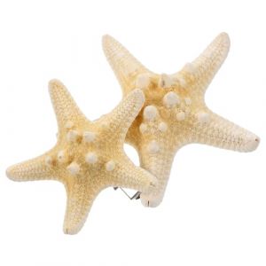 IWOWHERO 2Pièces Pince à Étoile de Mer de Épingles à Étoile à Branches Accessoire Élégant et Filles Parfait pour Fêtes (Langeriy, neuf)