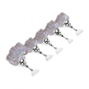 Hemobllo Support D'entra&icirc;nement pour Nail Art 5 Emplacements Forme Patte de Chat Gris Aurore, Porte-clou Plastique pour Manucure Professionnelle, Pr&eacute;sentoir &agrave; Ongles pour Salon et Usage (pattobold, neuf)