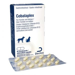 Dechra Cobalaplex | 60 gélules | Complément alimentaire pour chiens et chats | Peut favoriser la digestion et favoriser les niveaux de vitamine B12 | Avec prébiotique Preplex (FeedMyAnimal, neuf)