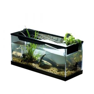 JIEBWCHA Petit Aquarium Transparent Rectangulaire De 31,5 X 13,5 X 16,5 Cm, Kit De Démarrage pour Aquarium en Verre avec Filtre Et Éclairage, Facile À Nettoyer Et À Entretenir (nichun, neuf)