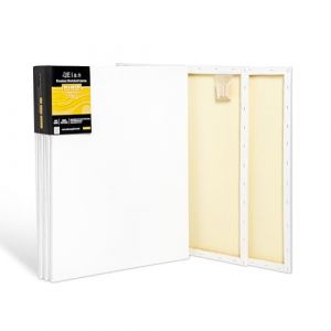 Elan Toile Peinture 50x60 380 g, Lot de 6 Toiles à Peindre 100% Coton, 380 GSM Canvas Painting 50x60, Toile à Peindre, Chassis Entoilé, Canvas 60x50 (BG Productions, neuf)