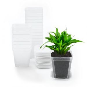 KINGLAKE Lot de 12 pots de fleurs carrés en plastique transparent de 7 cm avec plateaux, petits pots de fleurs épais pour pépinière, semis, légumes, boutures, succulentes, cactus et herbes (JH Gardening, neuf)