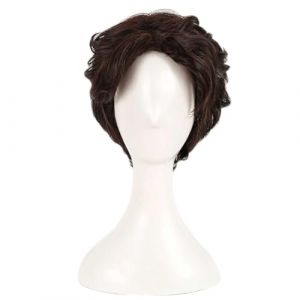 RiRaku Anime Cosplay Perruque Flynn Rider Short Dark Brown Halloween Costume Cosplay Perruque,pour F&ecirc;te Carnaval No&euml;l (ZouPingPengQiJianZhuGongChengYouXianGongSis, neuf)