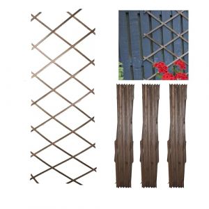 DIVCHI Lot de 3 treillis muraux extensibles en bois pour plantes grimpantes, décoration et séparation des plantes (180 cm x 60 cm) (bois de chêne) (Vicky_Hemdev (VAT Registered UK Company), neuf)