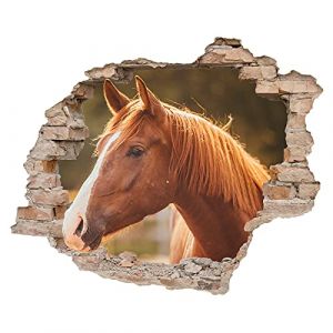 Little Deco DL639-2 - Sticker mural 3D - Pour chambre d'enfant, de b&eacute;b&eacute;, de fille - Motifs cheval (Grandora, neuf)