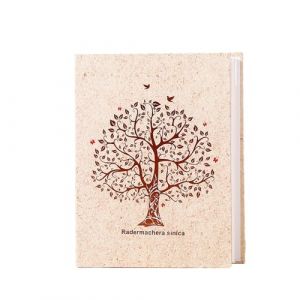 Hixingo Album Photo 10x15 100 Pochette, Grand Taille Album Photo Bebe Comm&eacute;moratif Album Photo Pochette, Album Photo Traditionne pour Famille/Mariage/Voyage/B&eacute;b&eacute; (5&rsquo;&rsquo;,Grand Arbre) (Hixin, neuf)