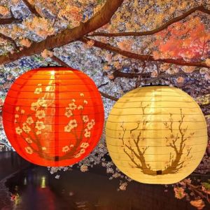BIZOI 2 Pi&egrave;ces Lampions Solaires R&eacute;sistants aux Intemp&eacute;ries, 12 Pouces Imprim&eacute; Rond Lanterne en Papier, Lampions Solaires pour Ext&eacute;rieur, pour Jardin d&eacute;t&eacute;, Terrasse, Mariage, Anniversaire, Balcon (luoheshihuifengxinxikejiyouxiangongsi, neuf)