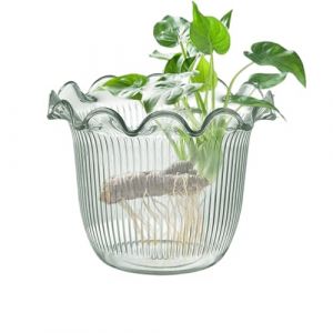 Vase moderne en verre transparent pour fleurs, pot pour en eau, planteur de pour photos, vacances, salle d'h&ocirc;tel, biblioth&egrave;que, am&eacute;nagement d'&eacute;v&eacute;nements, lieu de travail (spolert, neuf)