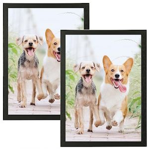 Weikani Cadre photo A4, paquet de 2-21x30cm cadre photo noir avec plexi Glass, support mural ou cadre de certificat pour moniteur de bureau, set de 2 (Newhope2023, neuf)