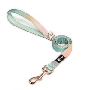 TSPRO Laisse pour Chien de Faible Poids, Gradient de Couleur Laisse Chien avec Poignée Rembourrée et Fermeture Métallique pour Chiens de Petite à Moyenne Taille (Jaune Vert) (TSPRO OUTDOOR, neuf)
