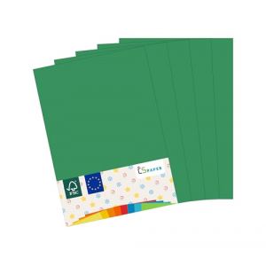 MADE IN EU 180 Feuilles de Papier Couleur Vert Sapin A4 80 g/m&sup2; CS Paper - Pour Imprimante, Copie, Impression, Bricolage & Pliage (CS-Webkontor, neuf)