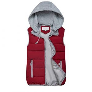 WZYYDS Doudoune Sans Manches Femme Capuche Zipp&eacute; Veste Duveteuse Gilet Sans Manche Femme Courtes Veste Matelass&eacute;e L&eacute;g&egrave;re Manteau Femme Hiver Chic Chaude Blouson (WZYYDS, neuf)