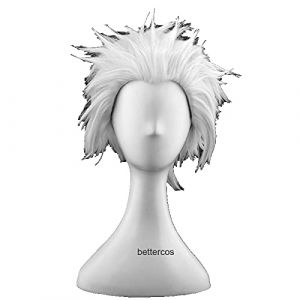 HBYLEE Perruque de cosplay Anime Coser pruik Destin Restez la nuit Go Extra Archer Emiya Cosplay Perruques courtes argentées résistantes à la chaleur + bonnet de perruque [Couleur : unité] (弘玟商贸店, neuf)