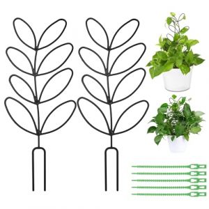 VOSSOT Lot de 2 tuteurs pour plantes d'int&eacute;rieur - Design feuille - Avec 5 liens de serrage de jardin - Support en plastique - Support pour plantes grimpantes - Balcon - Plantes en pot (caixianli, neuf)