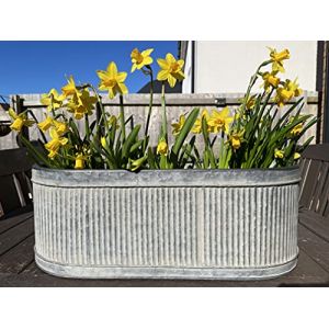Pot de fleurs rond ovale en acier galvanisé galvanisé 49 cm (Burgess Home & Garden, neuf)