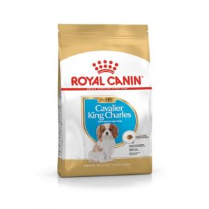 Royal Canin Cavalier King Charles Puppy | 1,5 kg | Croquettes pour Chiots | Peut Soutenir Les défenses Naturelles et la santé Cardiaque | Peut favoriser la Digestion (ANISTORES, neuf)