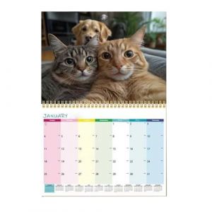 Calendrier Chat 2026 &ndash; Papier 29x21cm | Agenda Mural Mois Rigolo De 12 Mois | Organisateur Adorable Pour Amoureux Des F&eacute;lins, D&eacute;co Maison, Bureau, Planning Quotidien (Weiyahui, neuf)