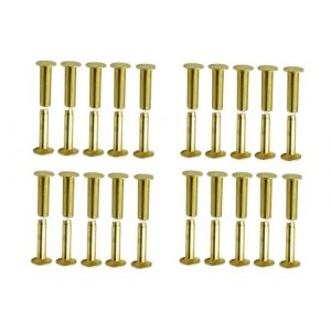 G&eacute;n&eacute;rique 20 Pi&egrave;ces Double Rivets Tubulaires, Chicago Rivet, pour Cuisine Hachoir Couteau Poign&eacute;e Rivets De &Agrave; T&ecirc;te Plate, (WANG-NUANJUAN, neuf)