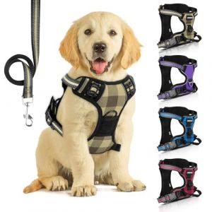 SIBOTER Harnais Chien, Harnais Anti Traction pour Chien, Harnais Chien Anti Traction Réfléchissant, avec Laisse pour Chien, pour Entraînement en Plein Air (Plaid Jaune, M) (Eliauk-eu, neuf)