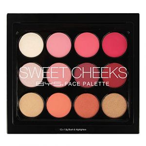Palette Blush 12 Fards à joues (BYS MAQUILLAGE, neuf)