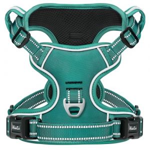 HEELE Harnais Chien, Harnais Chien Anti Traction, R&eacute;fl&eacute;chissant, avec Poign&eacute;e Rembourr&eacute;e Contr&ocirc;l, 2 Anneaux M&eacute;tal, Harnais pour Petit Moyen et Grand Chien, Vert Gazon, S (HANTUO, neuf)