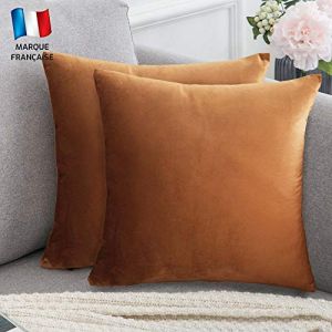 Douceur De Plumes Lot de 2 Housse de Coussin Rouille Clair Velours 60x60 cm Uni, Taie d'oreiller Carré Doux et Moderne, Décoration Salon Maron Scandinave Canapé Chambre Lit Sol (2 Rouille Clair) (Douceur De Plumes FR, neuf)