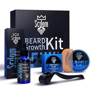 Kit Barbe Homme, Kit Barbe pour les Hommes Avec Derma Roller en Titane, Huile S&eacute;rum de Croissance de la Barbe, Baume &agrave; Barbe, Savon Nettoyant pour Barbe, Peigne, Kit Rasage Homme, Coffret Soin Barbe (Jruier, neuf)