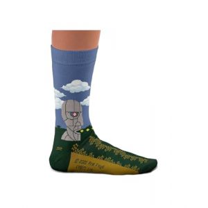 Sock Affairs Chaussettes unisexe, hommes et femmes, amusantes et cool, modèle The Division Bell, Pink Floyd (SS-PF-Division-Bell-Socks, FR/ES, Numérique, 41, 46, Taille normale, Taille normale) (Sock Affairs, neuf)