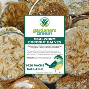 GardenersDream noix de coco fourrées aux vers de farine fraîches et goûteuses | Nourriture fraîche pour oiseaux sauvages pour le jardin (Pack de 15) (Gardener's Dream Ltd, neuf)