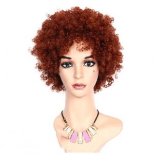 Naturelle Perruque Perruques afro courtes moelleuses crépues cheveux bouclés perruques noires pour femmes noires perruques afro bouclées perruques douces rebondissantes Cheveux Naturel (yizhishizizaichuangtou, neuf)