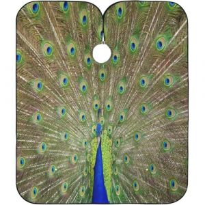 Paon Robe De Coiffure Antistatique Peignoir Coiffure Imperm&eacute;able Cape De Cheveux Pour Coiffeurs Barber Salon 140X168Cm (guangzhouhongchenmaoyishanghanggerenduzi, neuf)