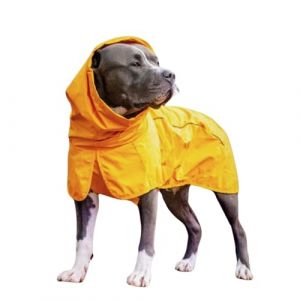 Spark Paws Manteau de pluie imperméable et coupe-vent pour chiens de petite, moyenne, grande et très grande taille, couverture intégrale réfléchissante et respirante, jaune moutarde, taille 2XL (Spark Paws, neuf)