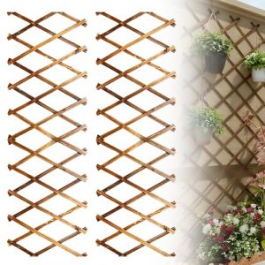 Lot De 2 Treillis Extensible, Treillis De Jardin Extensible, 180 X0,7x30 Cm Cl&ocirc;ture Extensible pour Plantes Grimpantes, Cl&ocirc;ture De Jardin Extensible en Bois pour Chambre, Jardins, Terrasse (ALFAXCELE, neuf)