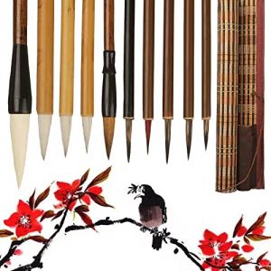 XCSJ Set De 10 Pinceaux De Calligraphie Chinois, Qualité Supérieure, Pinceau De Calligraphie Chinoise Kanji Japonais Sumi, Peinture Kanji Outils De Calligraphie Pour Débutant, Étudiants (HaoQing, neuf)