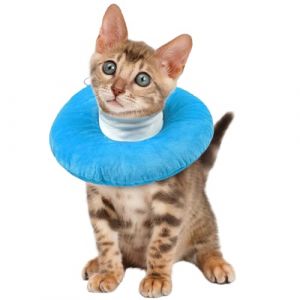 Collerette Souple Chat, Collerette Anti Lechage Chaton ColleretteAnti Grattage ColleretteSouple C&ocirc;nes Chat &Eacute;lisabeth Collier C&ocirc;ne de R&eacute;cup&eacute;ration (Bleu, S) (PUMYPOREITY, neuf)