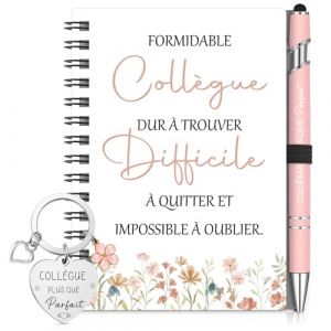 Sinmoe Cadeau Collegue de Travail Femme Remerciement Collegue No&euml;l Set 3 Pi&egrave;ces avec Mini Carnet Spirale Stylo &agrave; Bille Porte-Cl&eacute; Id&eacute;al D&eacute;part Retraite (Rose,FORMIDABLE coll&egrave;gue) (Quuaancmi, neuf)