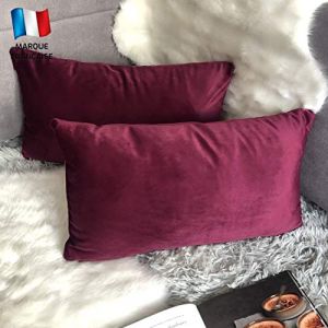 Douceur De Plumes Lot de 2 Housse de Coussin Prune Bordeaux Velours 40x80 cm Uni, Taie d'oreiller Carré Doux et Moderne pour Scandinave Pourpre, Salon Violet Canapé (2 Prune) (Douceur De Plumes FR, neuf)
