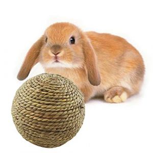 MEYANG Jouet Lapin, Jouet A Macher pour Animaux Domestiques Boule d' Naturelle, Jouet A Macher pour Animaux Domestiques Boule, pour Lapin Nain Jouet Lapin À Ronger (Yajimsa, neuf)