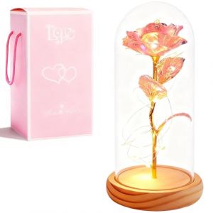 XVZ La Belle et la B&ecirc;te Rose &eacute;ternelle - Cadeau de fleurs pour femmes, Rose sous cloche en verre avec LED et support en bois pour m&egrave;re, &eacute;pouse ou petite amie pour No&euml;l, Saint-Valentin - Poudre color&eacute;e (Teesa-eur, neuf)