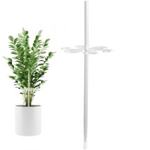 Rurunklee Support pour tige de plantes - Support pour plantes - En acrylique transparent - Pour légumes, fleurs, vignes, orchidées, rosiers (zhrnfm, neuf)