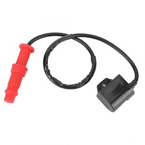 Bobine D'allumage, Yctze 3089239 Remplacement de Pièce de Rechange de Bobine D'allumage pour Polaris Sportsman/Ranger Bobine d'allumage polaris 500 sportsman bobine polaris sportsman bobine polaris sp (riuty, neuf)