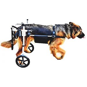 Grand fauteuil roulant pour chien de compagnie, chariot de rééducation des pattes arrière pour animaux de compagnie en acier inoxydable à 2 roues pour les pattes arrière, aide les petits ani (Rong Xing Home Life Store, neuf)