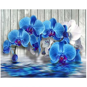 DCIDBEI Rond 5D Diamond Painting Orchid&eacute;e 40x30 cm Peinture Diamant Adultes Broderie Diamant Orchidee Enfants Cristal Strass Embroidery Peinture par num&eacute;ros Orchid&eacute;es Zen Images Point de Croix Toile (BEIMIN, neuf)