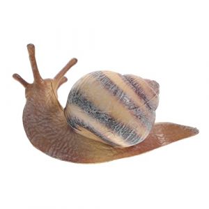 Toddmomy Figurine D&rsquo;Escargot R&eacute;aliste pour Jardin Et D&eacute;coration, Plastique Solide, Taille M, Mini Figurines &Eacute;ducatives pour Gar&ccedil;on Et Filles Et Collectionneurs, Ornement Artificiel Simul&eacute; (Biccod, neuf)
