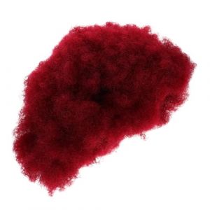SMASOLO Perruque Afro Perruques De Fête Pour Femmes Perruque Moelleuse Perruques Courtes Pour La Fête Perruques De Cheveux Fous Perruques Afro Frisées Courtes Fil Haute Température (SEASOON, neuf)