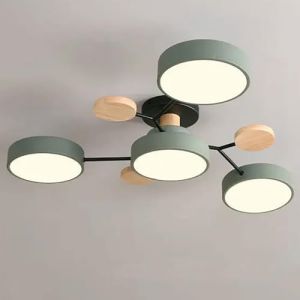 YDIJFLL Moderne LED Plafonnier Bois Vert Semi Encastr&eacute; Plafonnier 4/5/6/7 Mol&eacute;Cule Nordique Gris Cercle Rond Acrylique Abat-Jour Blanc Luminaire pour Salon, Chambre &agrave; Coucher(Size:4Lights,Color:A) (Gathers from Everywhere, neuf)