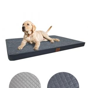 Odolplusz Lit orthopédique pour chiens de grande taille, coussin pour chiens de taille moyenne et grande taille, matelas pour chiens avec housse lavable, graphite, 120 x 80 x 7 cm (Odol Store, neuf)